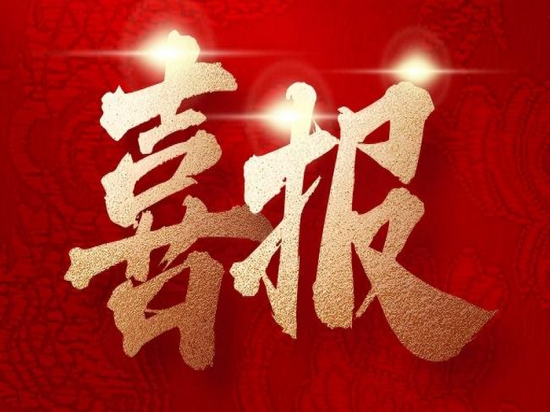 【質(zhì)量獎(jiǎng)創(chuàng)獎(jiǎng)】哲捷優(yōu)咨詢助力東方電氣集團(tuán)東方電機(jī)有限公司榮獲四川省天府質(zhì)量獎(jiǎng)